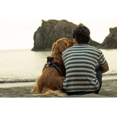 GoPro HERO 12 – 5.3K Action Kamera mit WLAN